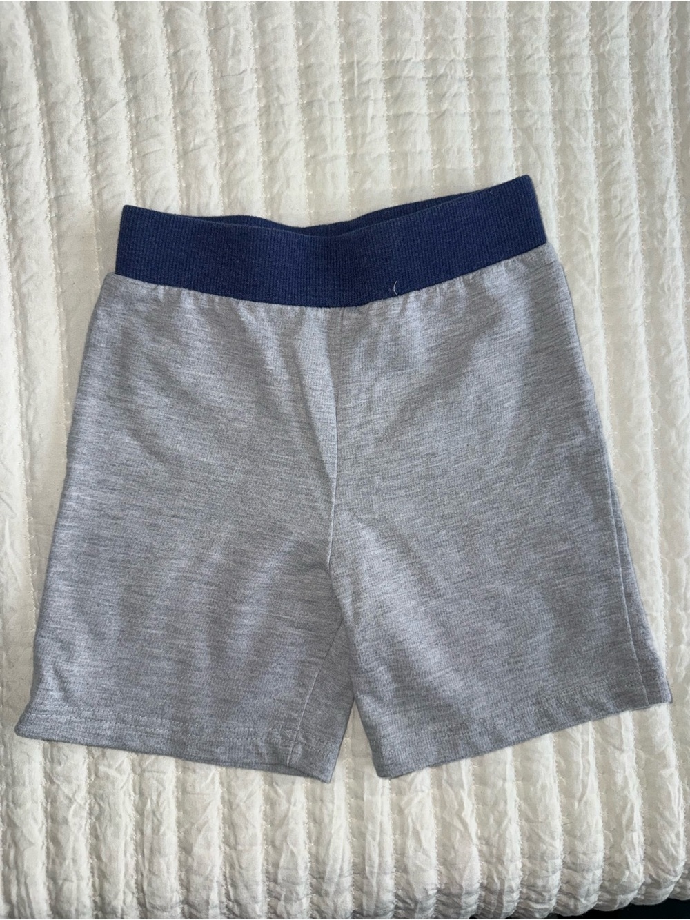 Paw Patrol Gray Shorts with Navy Waistband